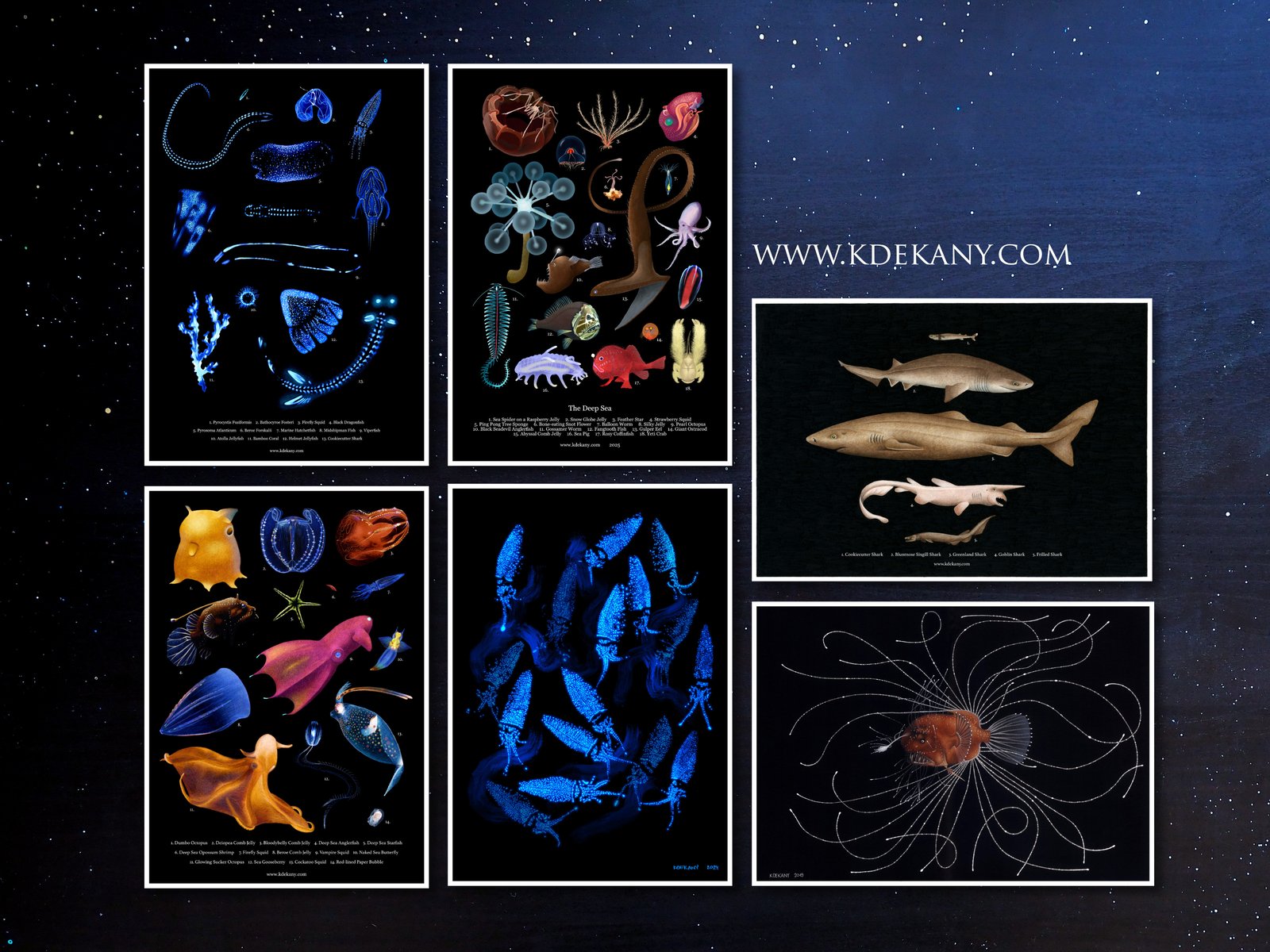Creatures of the Deep Sea Poster Fine Art Print | Krisztina Dekany